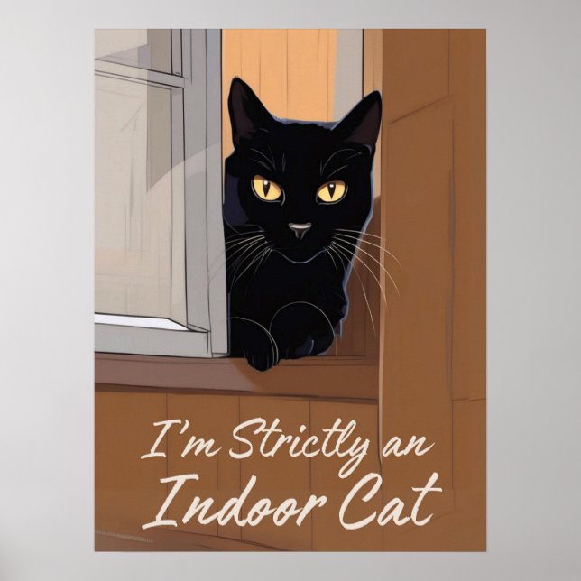Black Cat at the Window Poster (Front)