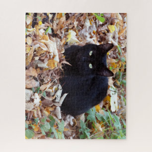 Black Cat Aurtumn  Photo Jigsaw Puzzle