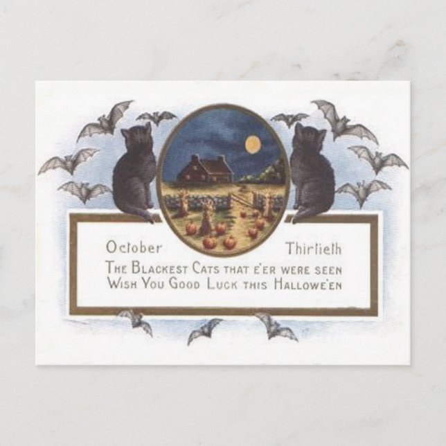 Black Cat Bat Farm Pumpkin Haystack Full Moon Postcard (Front)