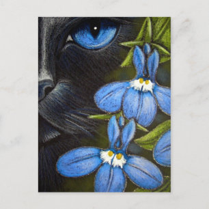 BLACK CAT BEHIND THE LOBELIA FLOWER Postcard