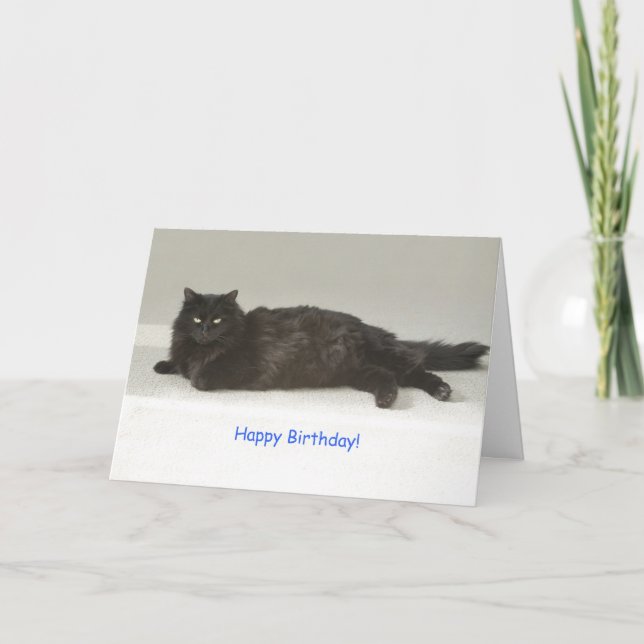 Black Cat Birthday Card by Focus for a Cause (Front)