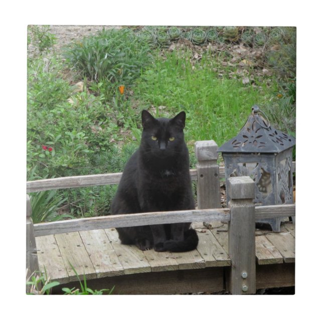 Black Cat Bridge Ceramic Tile (Front)