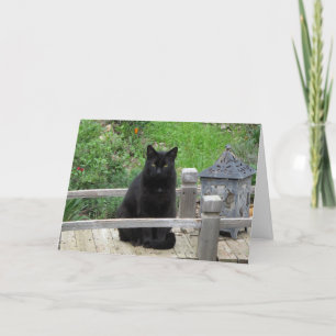 Black Cat Bridge Happiest Birthday Card