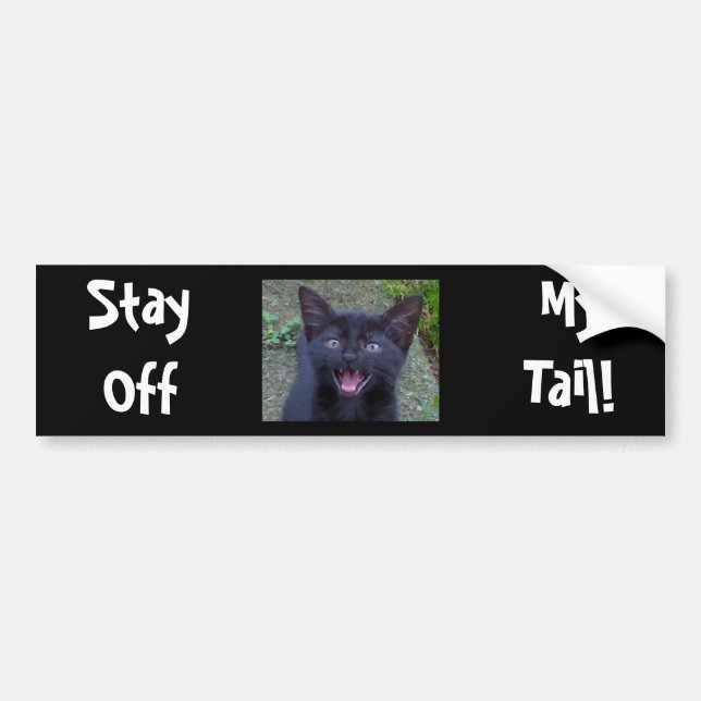 Black Cat -Bumper Sticker (Front)
