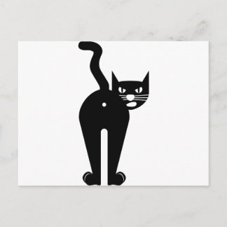 Black Cat butt hole Postcard