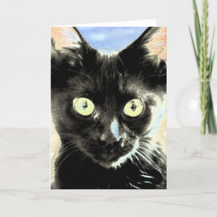 Black cat card