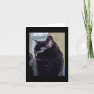 Black cat card