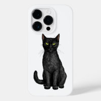 Black cat