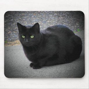 Black Cat Caught in a moon beam Mouse Pad