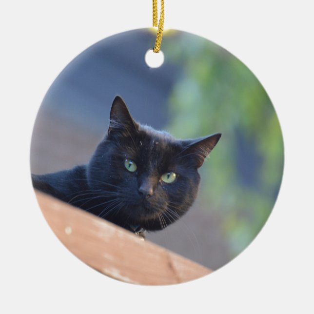 Black cat ceramic ornament (Front)