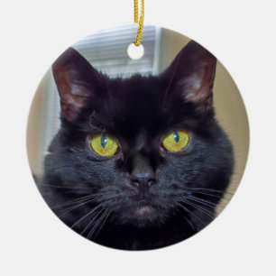 Black cat  ceramic ornament