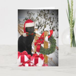 Black Cat  Christmas Cards