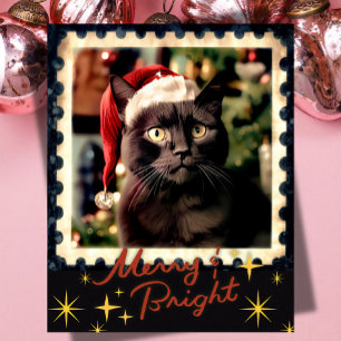 Black cat christmas  holiday card