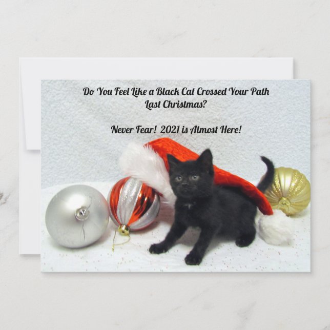 Black Cat Christmas - Humour  - Flat Christmas Car Holiday Card (Front)
