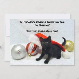 Black Cat Christmas - Humour  - Flat Christmas Car Holiday Card