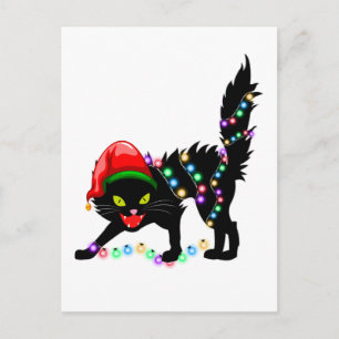 Black Cat christmas lights Postcard