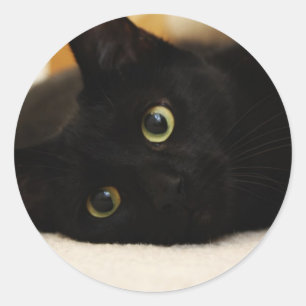 Black Cat Classic Round Sticker