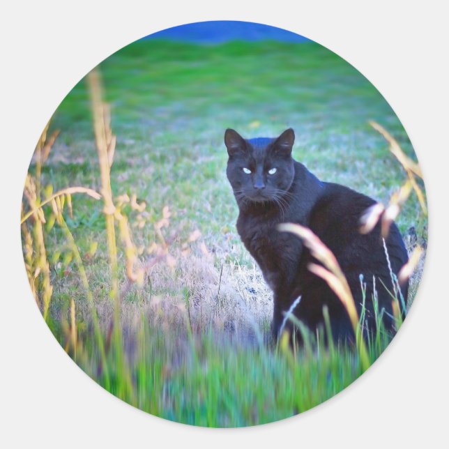 Black Cat Classic Round Sticker (Front)