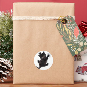 Black Cat Climbing On Human Back Classic Round Sticker
