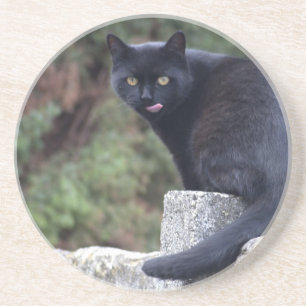 Black Cat Coaster