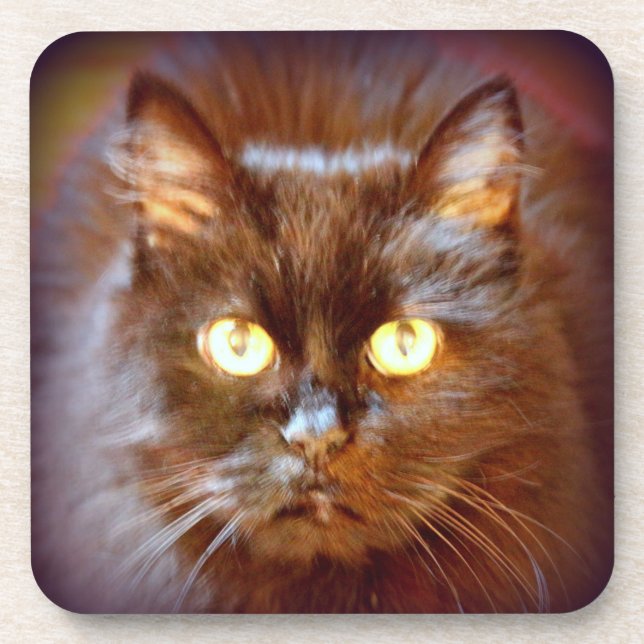 black cat coaster (Front)