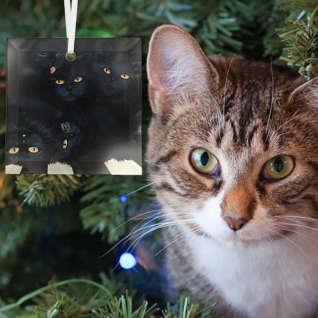 Black Cat Cuddle Pile Felines Cute Glass Tree Decoration (Creator Uploaded)