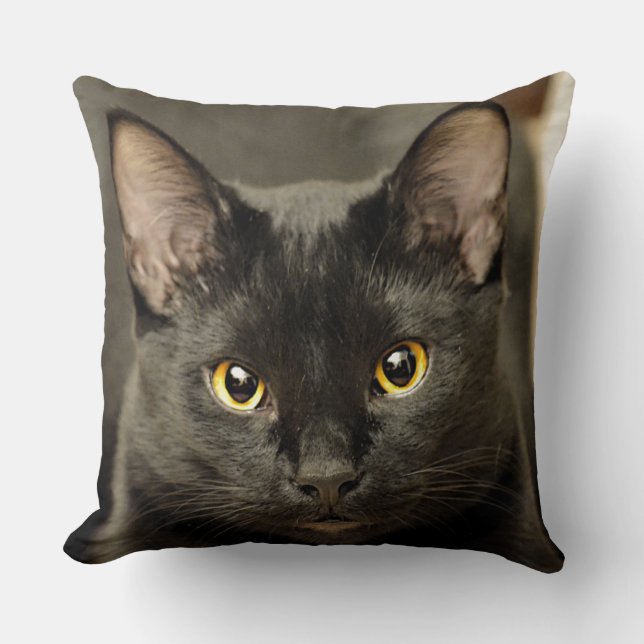 Black Cat Cushion (Front)