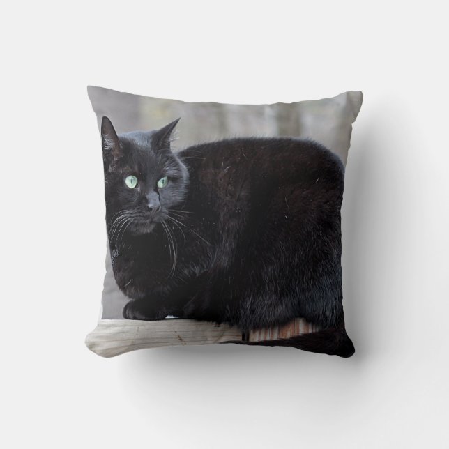 Black cat cushion (Front)