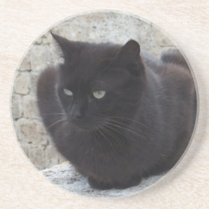 Black Cat custom coaster