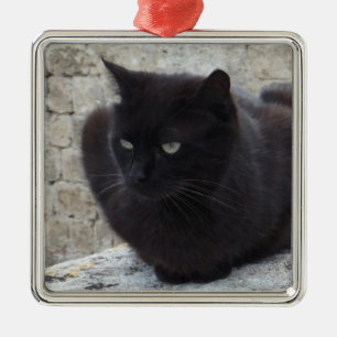 Black Cat custom ornament