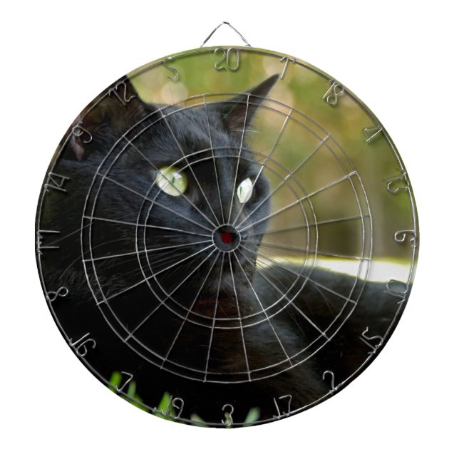 Black Cat Dartboard (Front)