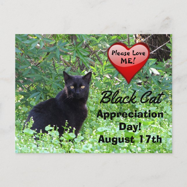 Black Cat Day of Appreciation Postcard (Front)