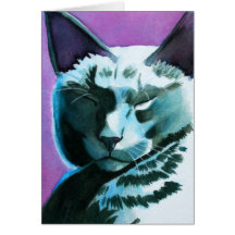 Black Cat Dozing Greeting Card