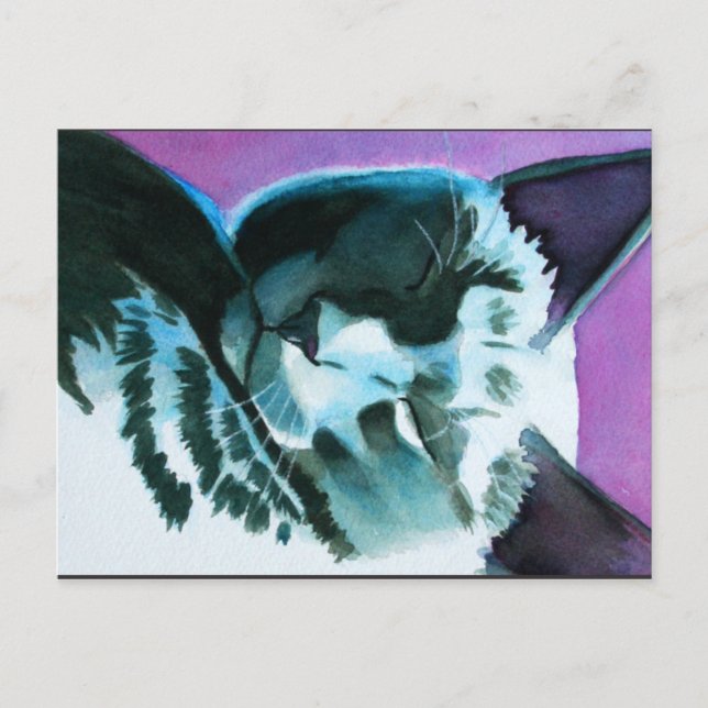 Black Cat Dozing Postcard (Front)