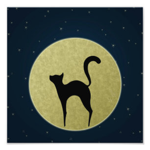Black cat elegant silhouette and moon photo print