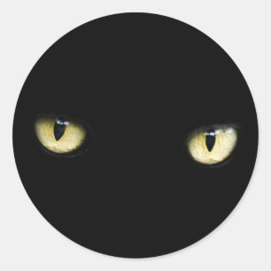 black cat eyes stickers