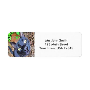 Black Cat Face Return Address Label
