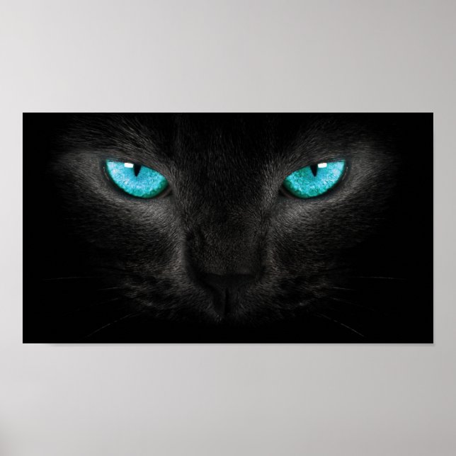 Black Cat Face with Turquoise Eyes Poster (Front)