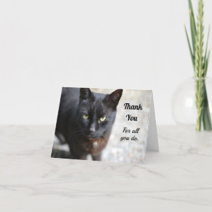 Black Cat Folded Get Well Soon Thank You Card