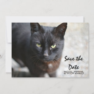 Black Cat Folded Save The Date Greeting Card