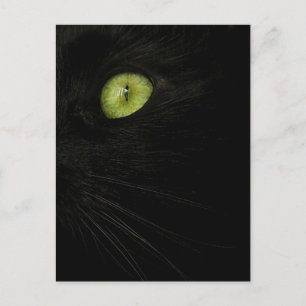 Black Cat, Green Eye postcard
