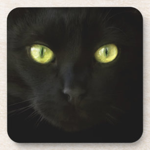 Black Cat Green Eyes coasters