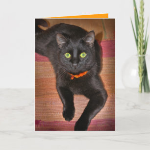 Black Cat Halloween Card