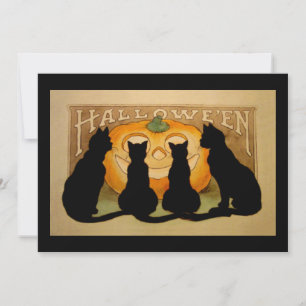 Black Cat Halloween Party Invitation
