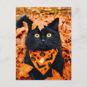 Black Cat Happy Halloween Postcard