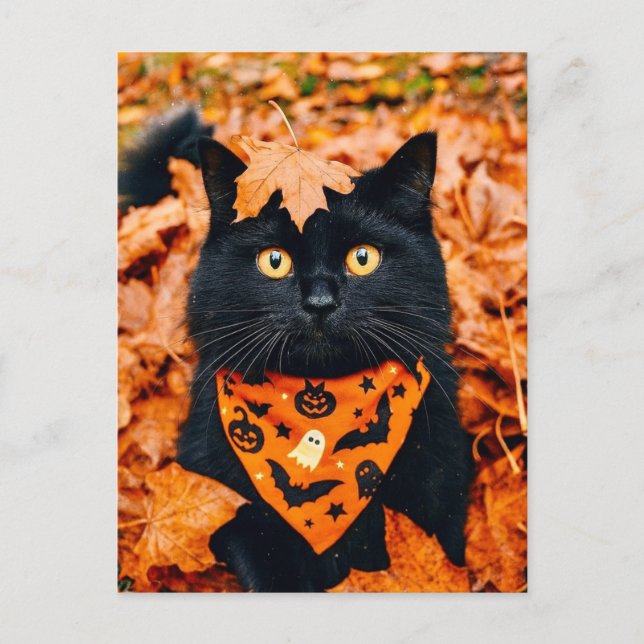 Black Cat Happy Halloween Postcard (Front)