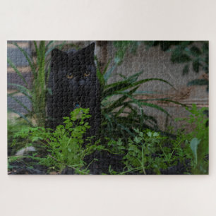 Black Cat Hidden in the Plants, 1014 pieces Jigsaw Puzzle