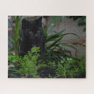 Black Cat Hidden in the Plants, 520 pieces Jigsaw Puzzle
