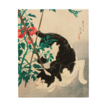 Black Cat Hissing 20th century
