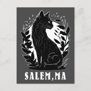Black Cat Illustration Salem Postcard